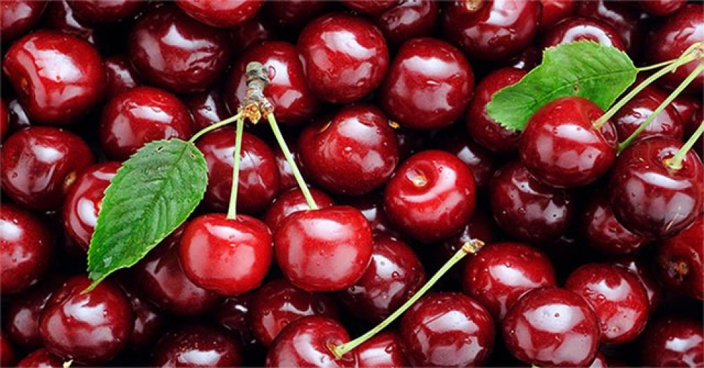 Cherry Chile - Món Quà Đầu Xuân Năm Mới - Eus Fruit