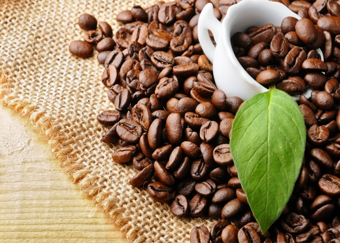 Tìm hiểu về cà phê chồn Đăk Lăk nguyên chất 