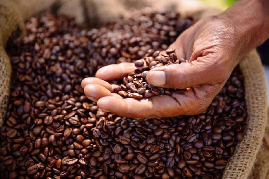 Giá của cà phê nguyên chất bao nhiêu tiền 1kg?